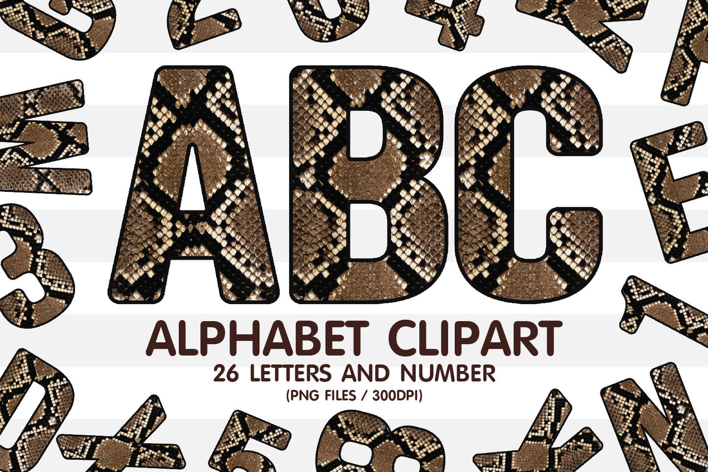 Snake Skin A-Z Alphabet Letters and Number • Clipart PNG • Sublimation